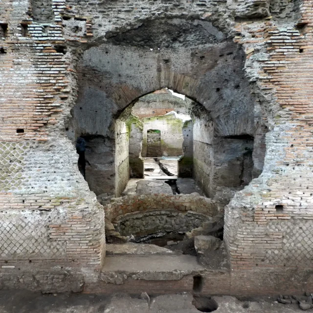 Indagini archeologiche e geofisiche Archeogeos